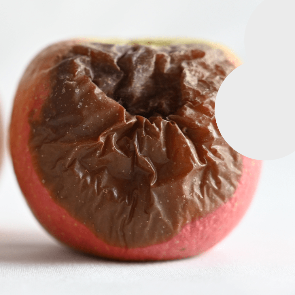 apple is taking everyone for a fool 